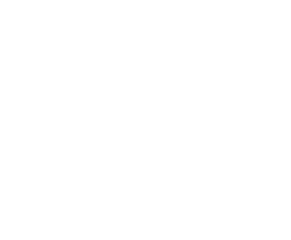 Kerstboomtotaal BV